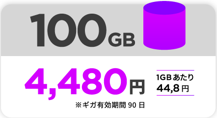 100GB 4,480円 1GBあたり44.8円 ギガ有効期限90日